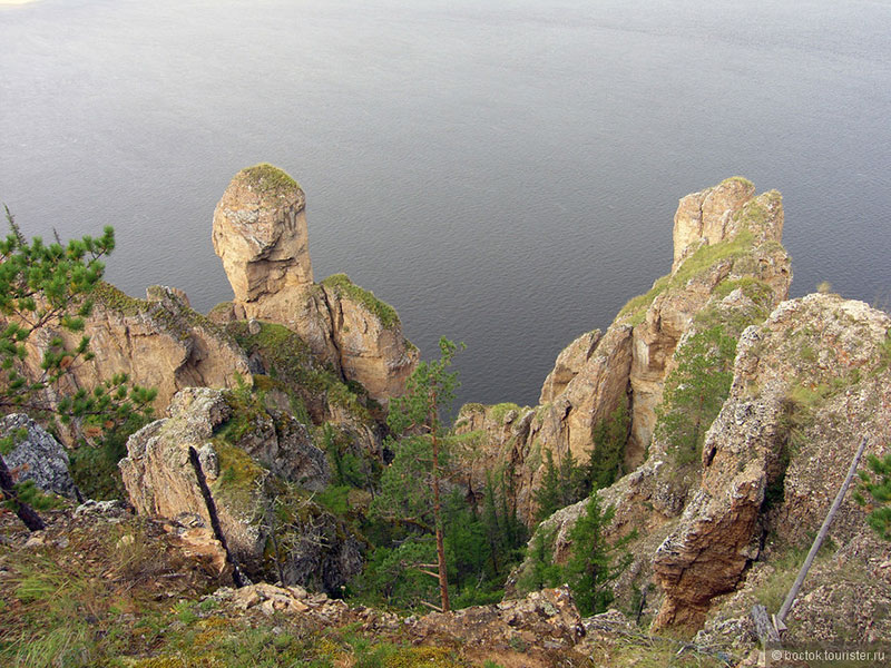 Колыбель человечества