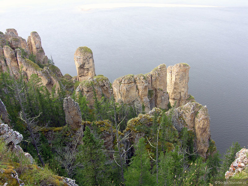 Колыбель человечества