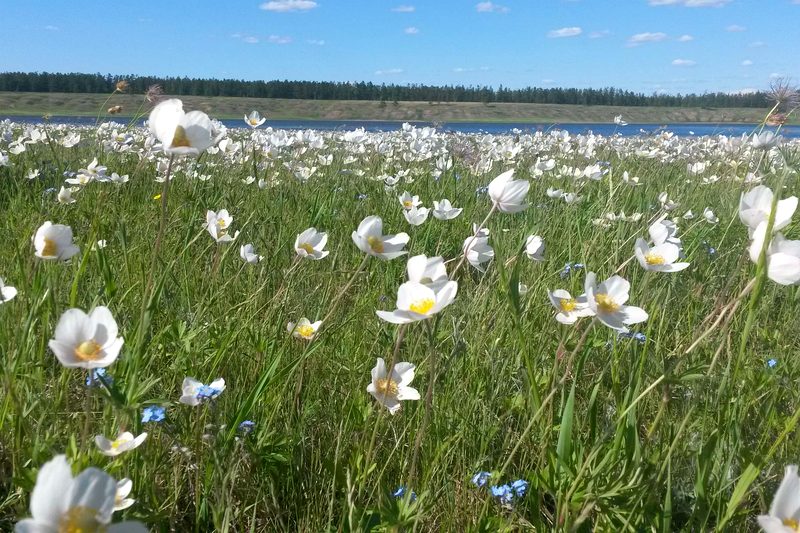 Погода в Якутии Погода в Якутии